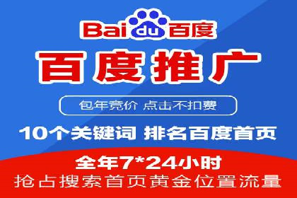 行业领先企业的SEM运营策略案例解析